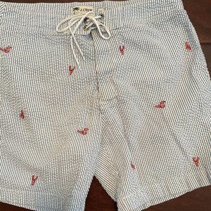 J. Crew seersucker swim trunks sz 30